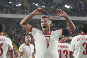 包含莱万多夫斯基关键节点精彩发挥，法国队带队取胜！的词条